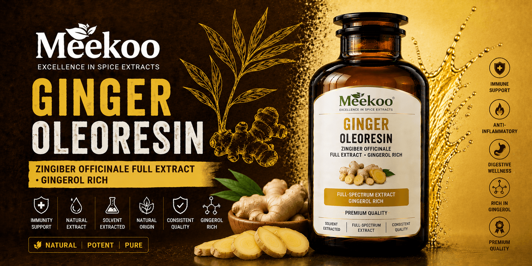 Ginger Oleoresin (Zingiber officinale Full Extract · Gingerol Rich) — Yumi One organic