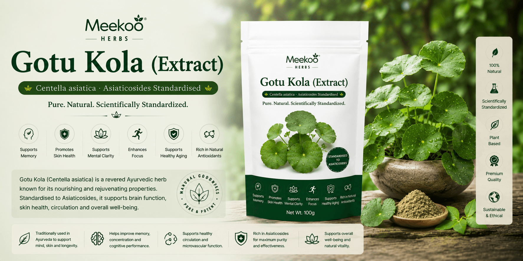 Gotu Kola (Extract) (Centella asiatica · Asiaticosides Standardised) — Yumi One organic
