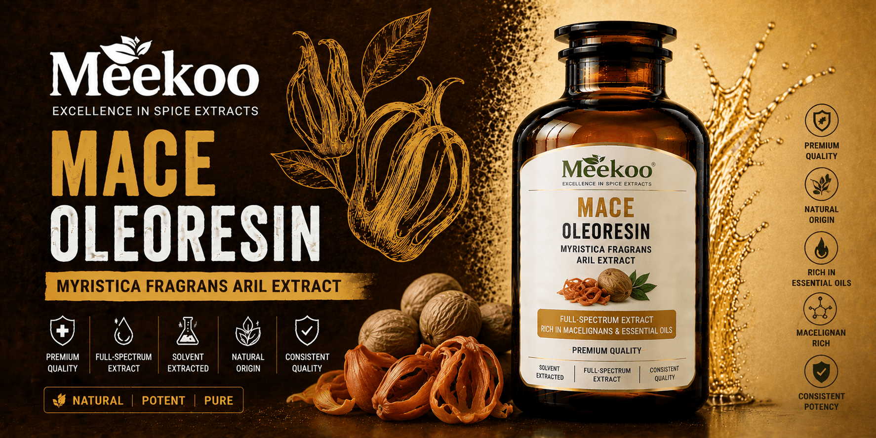 Mace Oleoresin (Myristica fragrans Aril Extract) — Yumi One organic
