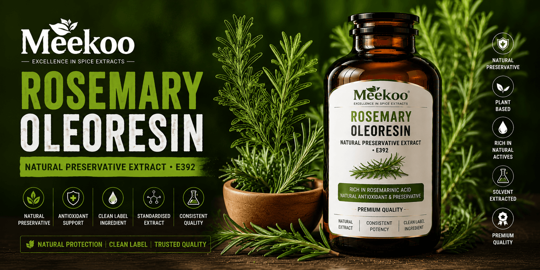 Rosemary Oleoresin (Natural Preservative Extract · E392) — Yumi One organic