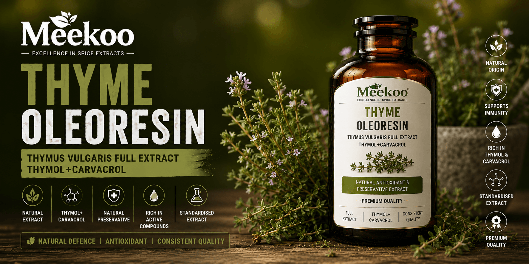 Thyme Oleoresin (Thymus vulgaris Full Extract · Thymol+Carvacrol) — Yumi One organic